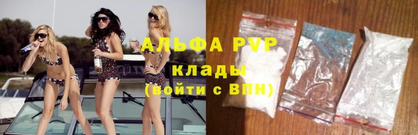 гидра Бородино