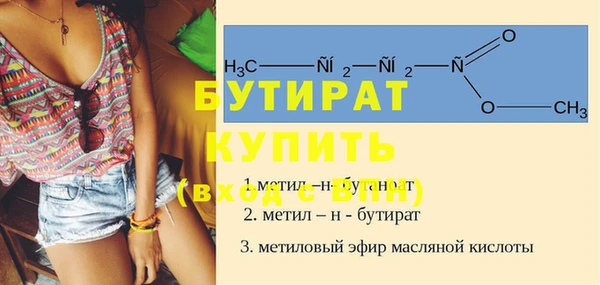 гидра Бородино