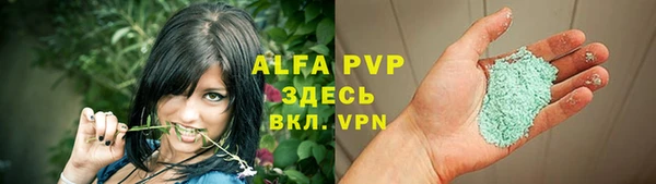 гидра Бородино