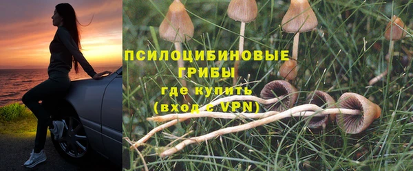 гидра Бородино