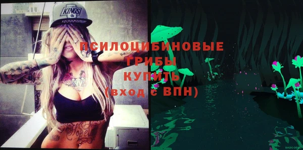 гидра Бородино