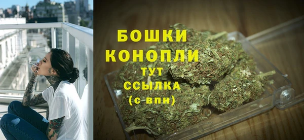 гидра Бородино