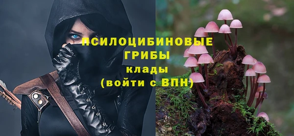 соль курить ск Бугульма