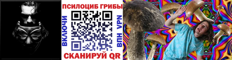 Псилоцибиновые грибы Psilocybine cubensis  купить   Ельня 